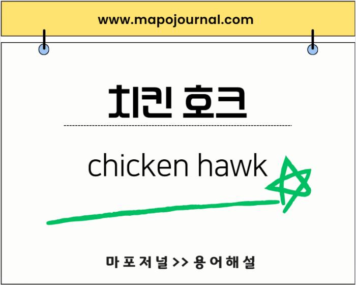 치킨호크(chicken hawk) 기사 이미지