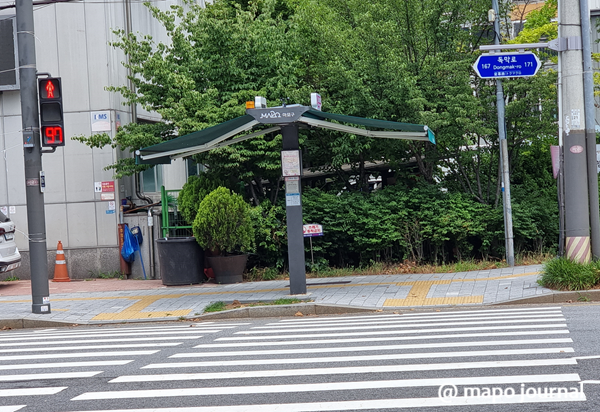 그늘막 설치작업을 하면서 가로수 밑동 제거 작업도 함께 했으면 좋았을 것이다