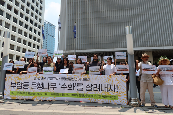 부암동 은행나무 '수화' 독살 의혹…시민 60인 환기미술관 관계자 경찰 고발