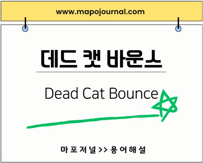 데드 캣 바운스(Dead Cat Bounce)