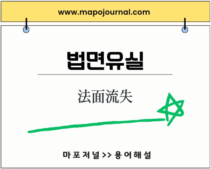 법면유실 (法面流失)