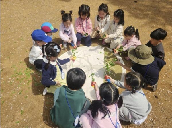 숲속이 배움터가 된다...마포구, 유아숲 체험 프로그램 운영