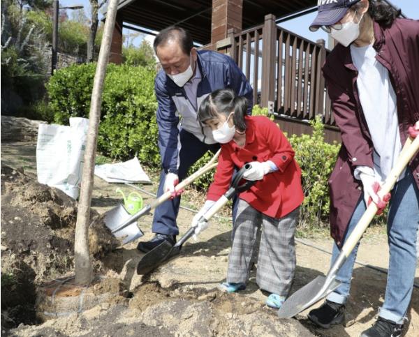 폭염 속 자연 그늘 다시 만든다… 마포구 '다시 그늘목 1호' 식재